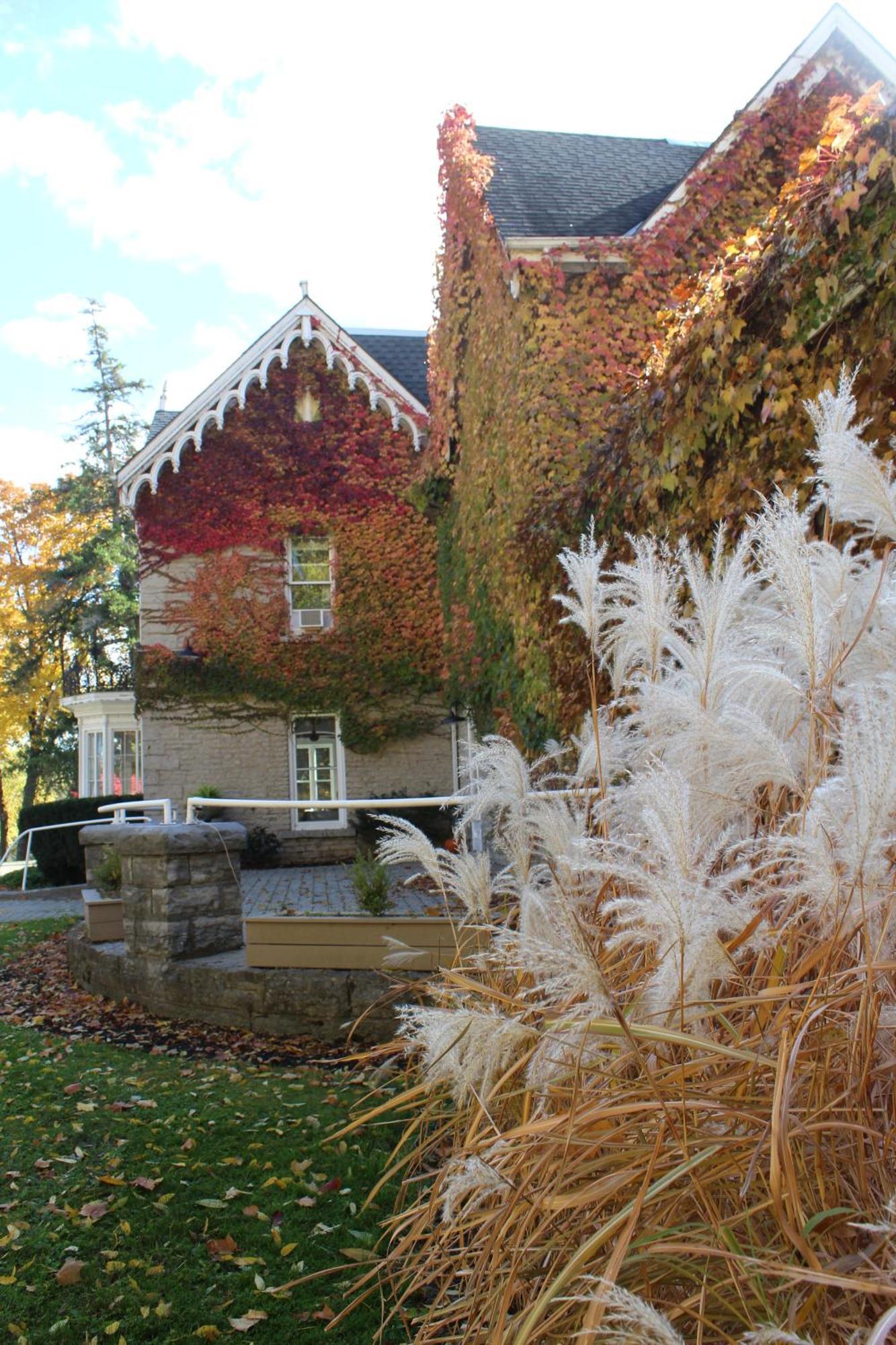 Westover Inn Saint Marys 外观 照片